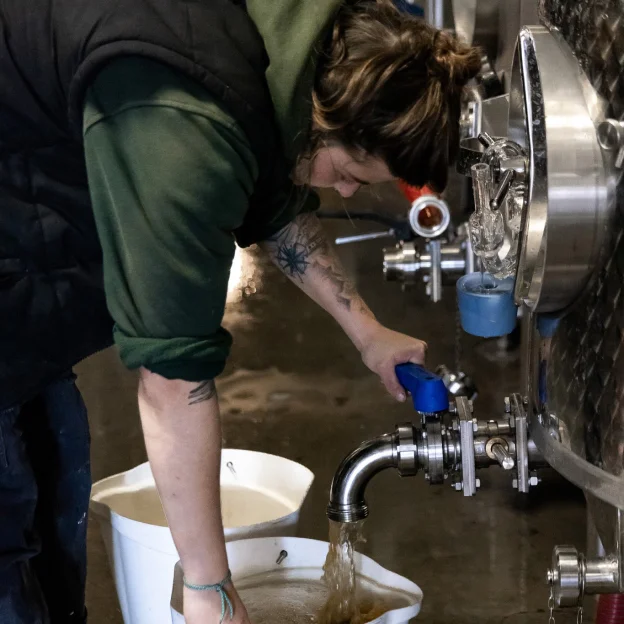 vigne à Mareuil-le-Port près d'Epernay dans la Marne 51