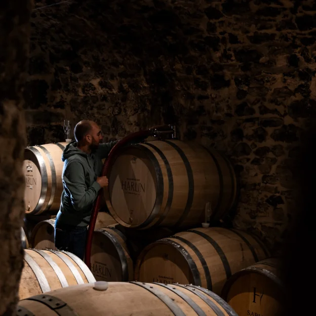 vigneron à Mareuil-le-Port près d'Epernay dans la Marne 51