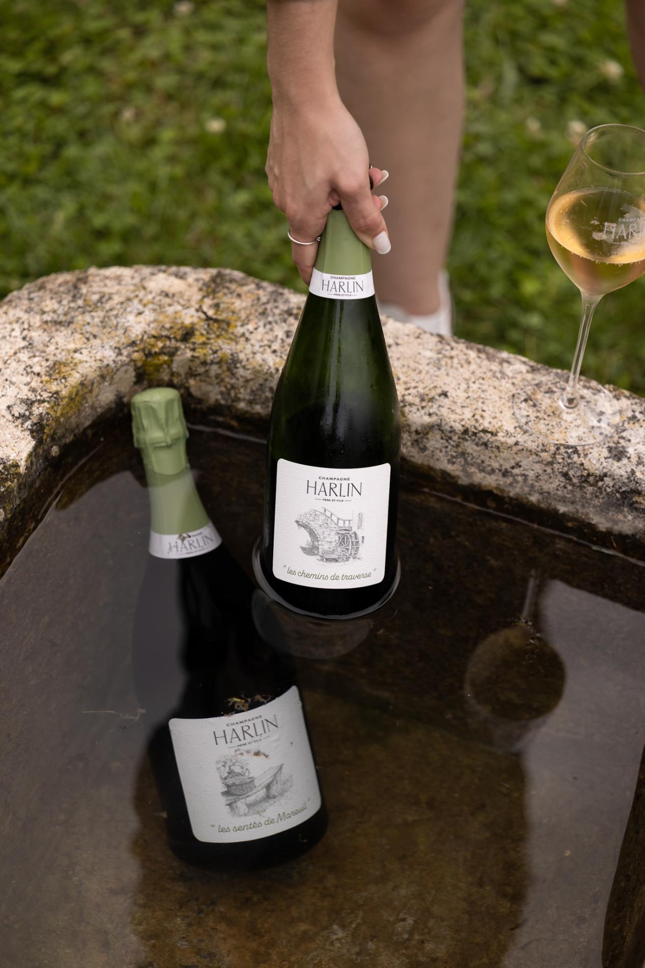 Nos champagnes mis à l'honneur