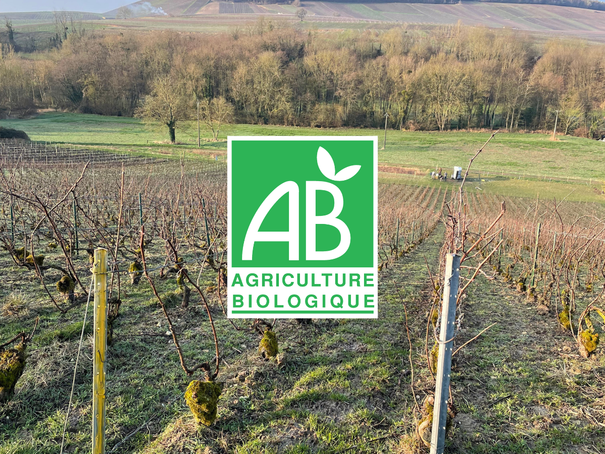 🌿 Nous sommes en Agriculture Biologique