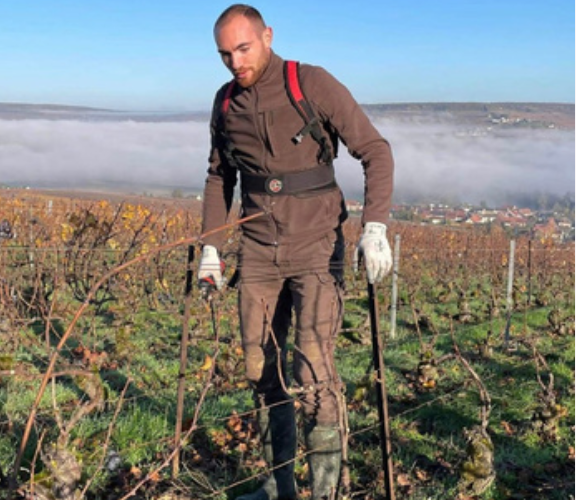 Pruning