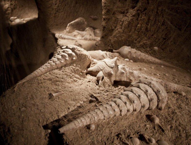 La Cave aux Coquillages