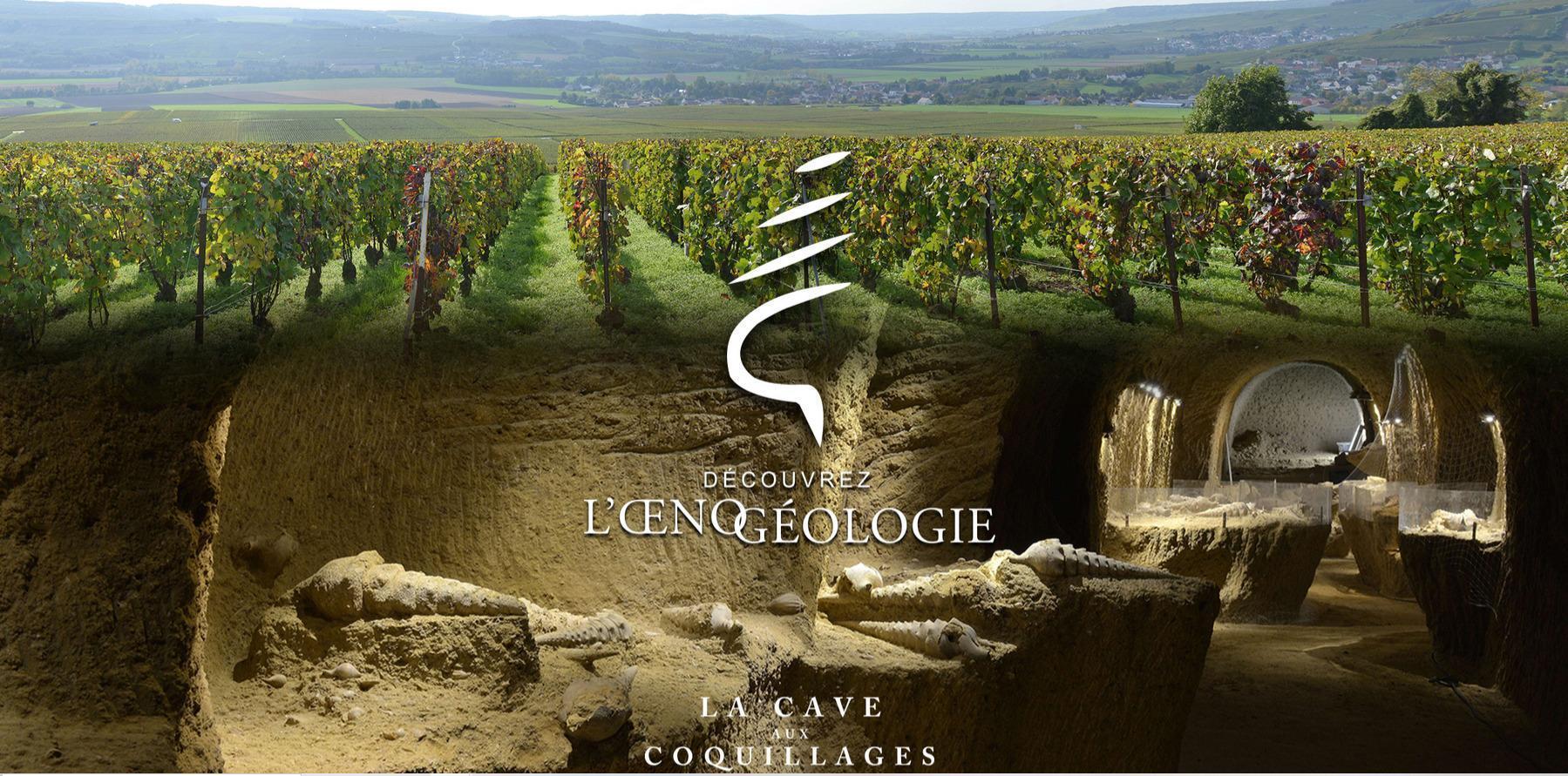 La Cave aux Coquillages