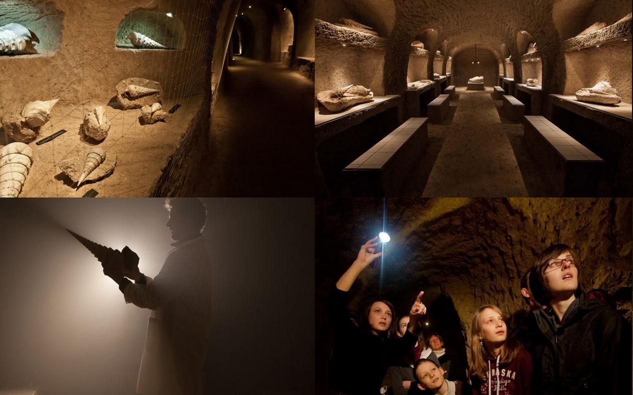 La Cave aux Coquillages